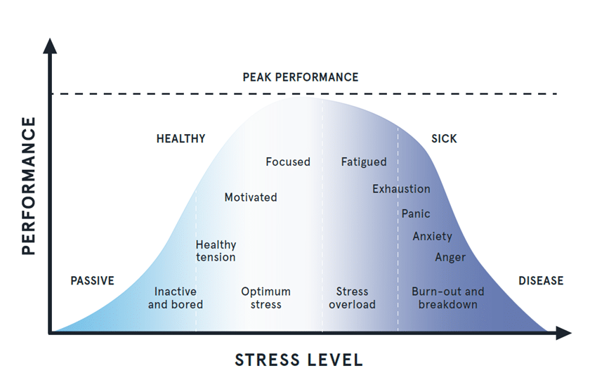 The relationship between stress and health