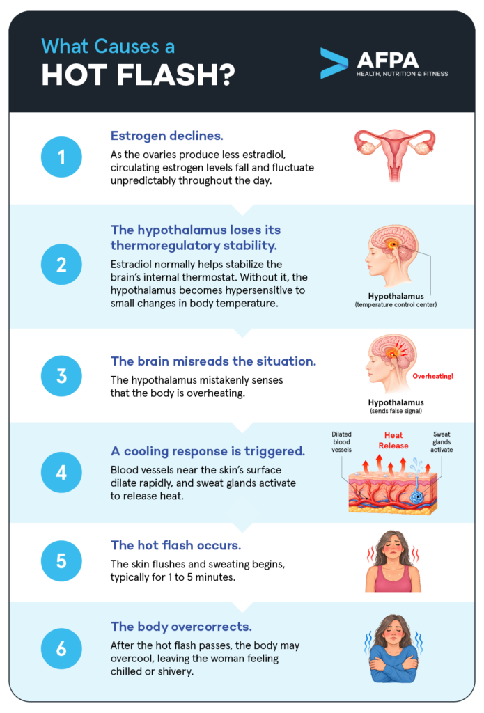 what causes a hot flash